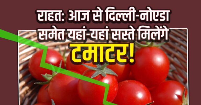 Relief for Delhi-NCR Consumers As Subsidised Tomato Sales Begin: Prices Set at Rs 90 Per Kg